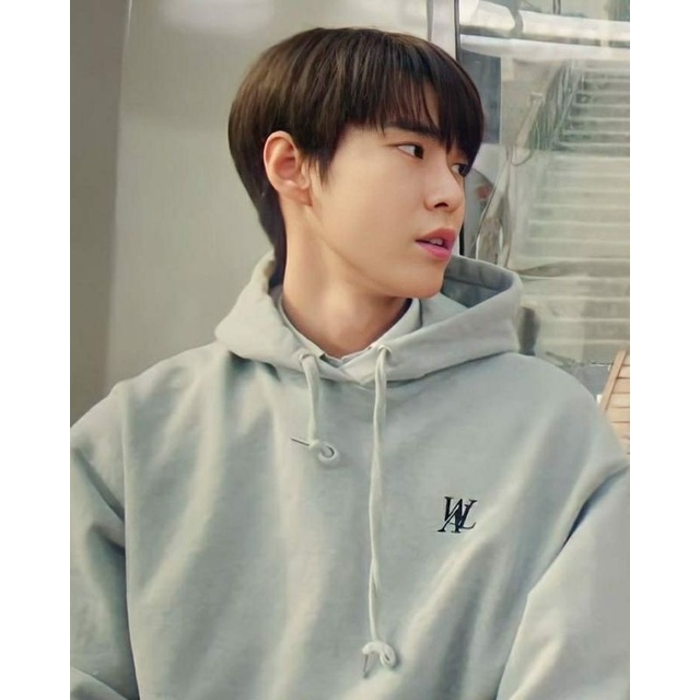 HOODIE NCT DOYOUNG WAL BORDIR