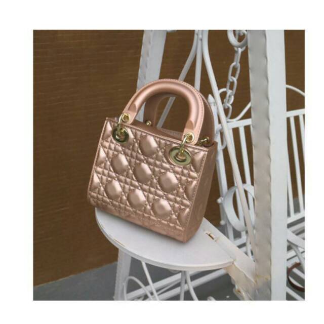 Dior Lady Jelly Mini 311#