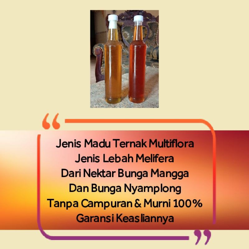 

MADU TERNAK MULTIFLORADAN JENIS LEBAH MELIFERA DARI BUNGA MANGGA DAN BUNGA NYAMPLONG