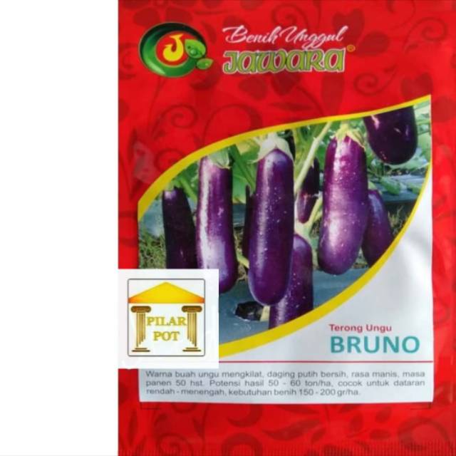 Benih bibit terong ungu bruno produk jawara