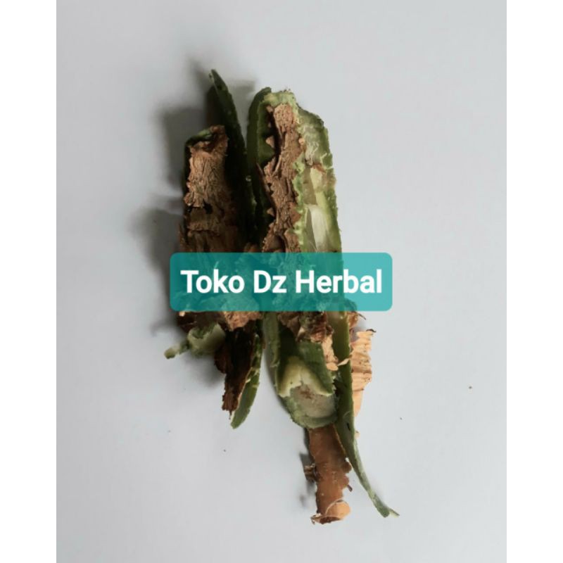 

Kulit pohon singkong karet segar 100 gram-az