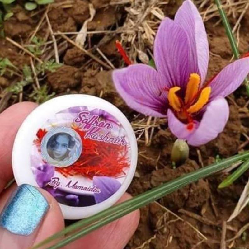 Saffron kashmir momoidea 1 gram