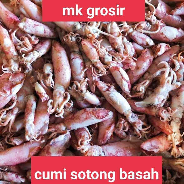 

cumi asin basah jarum /ikan asin cumi sotong basah jarum-500 gram