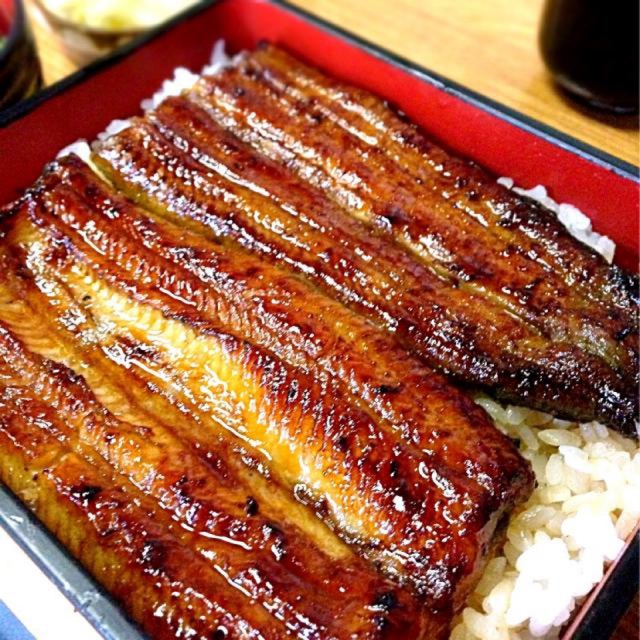 

Unagi Kabayaki / eel