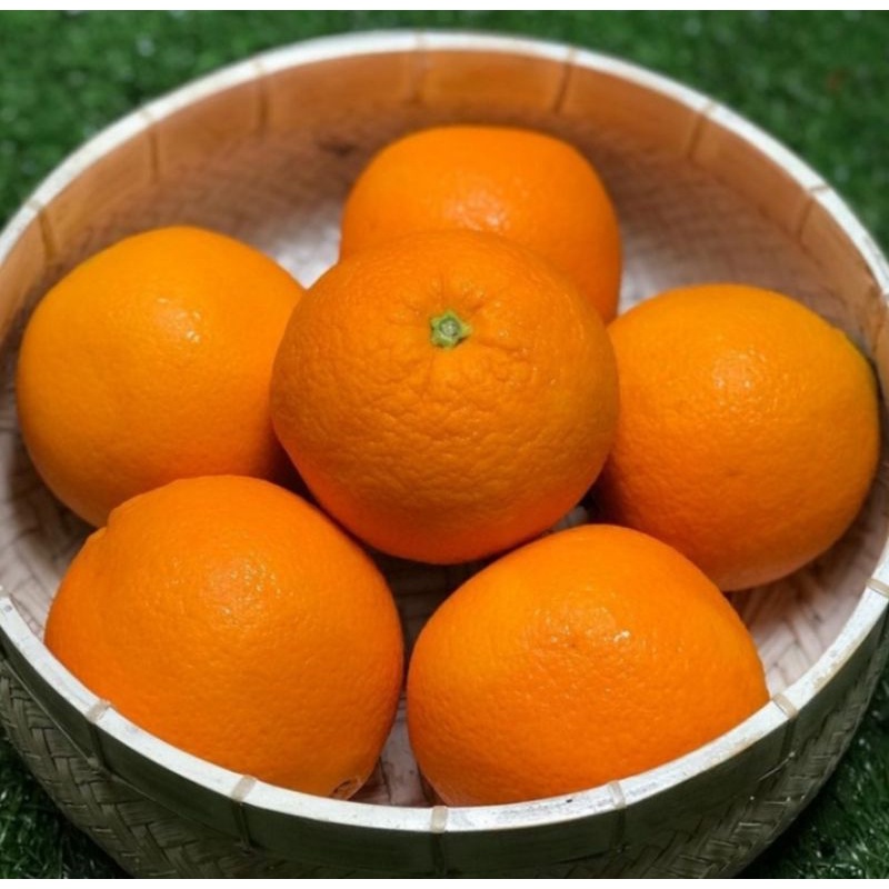 

Sunkist navel USA [1kg]