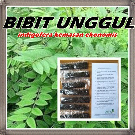 Jual Bibit tanaman indigofera hijauan pakan ternak murah | Shopee Indonesia