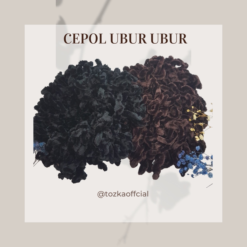 Cepol ubur ubur