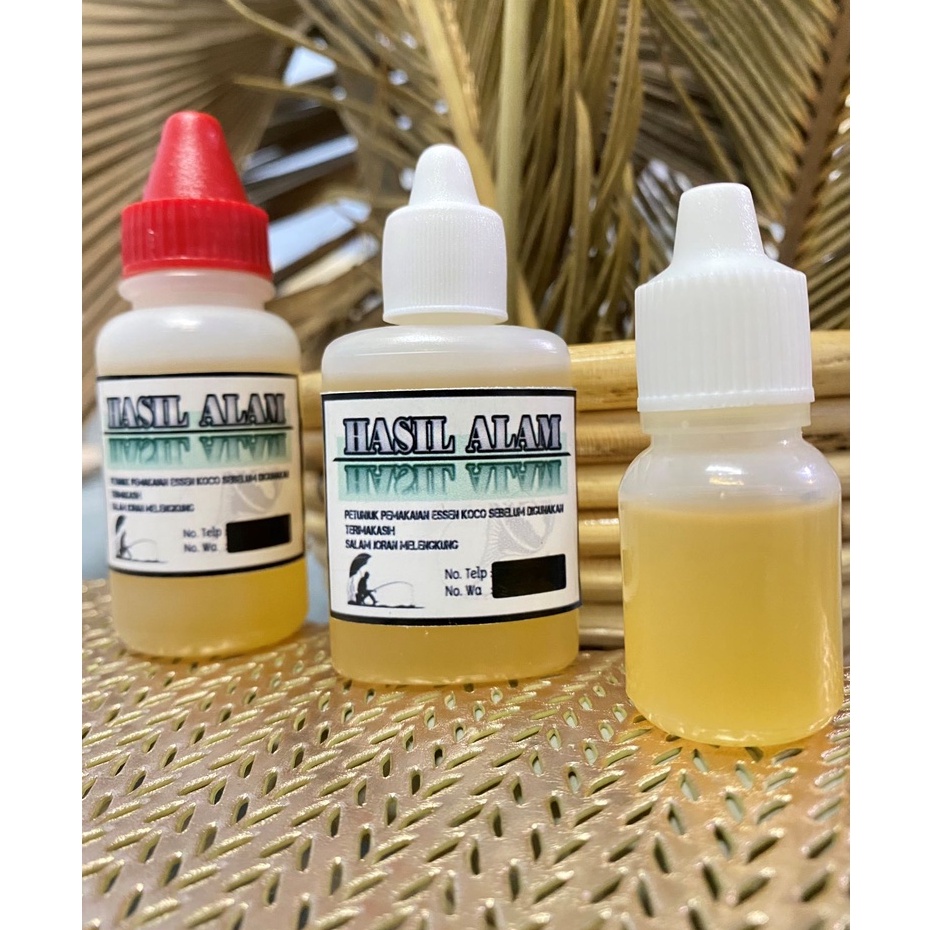 Essen Tenggiri Murni special asli  murah terbaik paling ampuh jitu gacor terbaik rame babon galatama