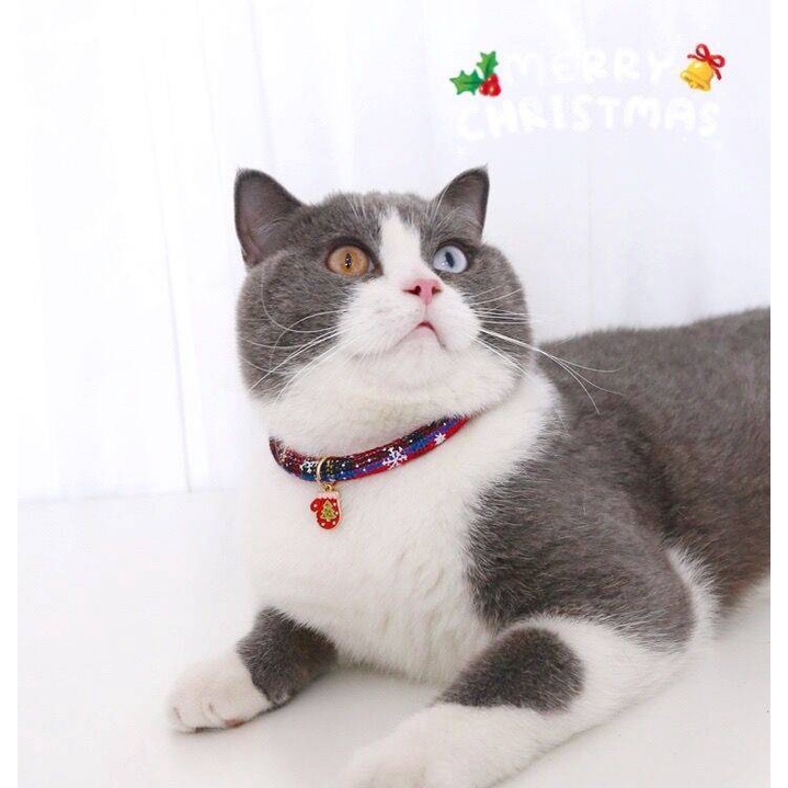 Kalung Leher Anjing / Kucing Peliharaan Adjustable Motif Print Natal Bahan Nilon