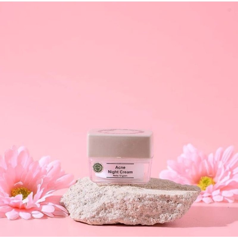 ORIGINAL MS GLOW ACNE NIGHT CREAM