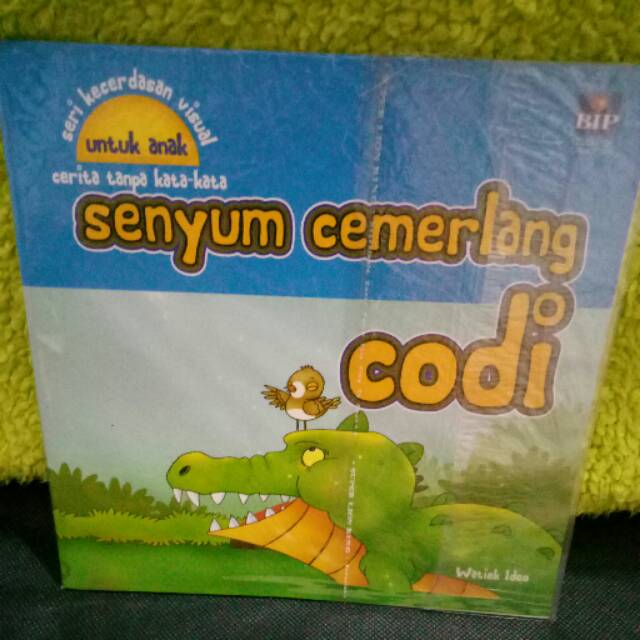 Seri kecerdasan visual untuk anak. Cerita tanpa kata-kata "senyum cemerlang kodi"