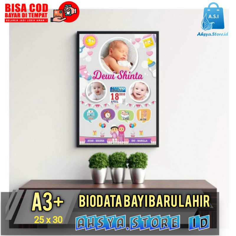 BIODATA BAYI BARU LAHIR