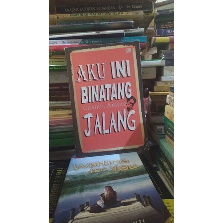 aku ini binatang jalang
