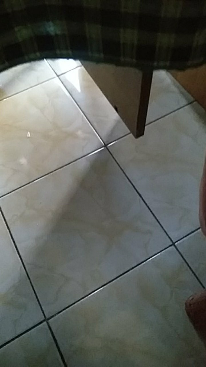 Kemeja Cowok Lengan Pendek Motif Kombinasi Bordir Azzahir Terbaru Bahan Katun