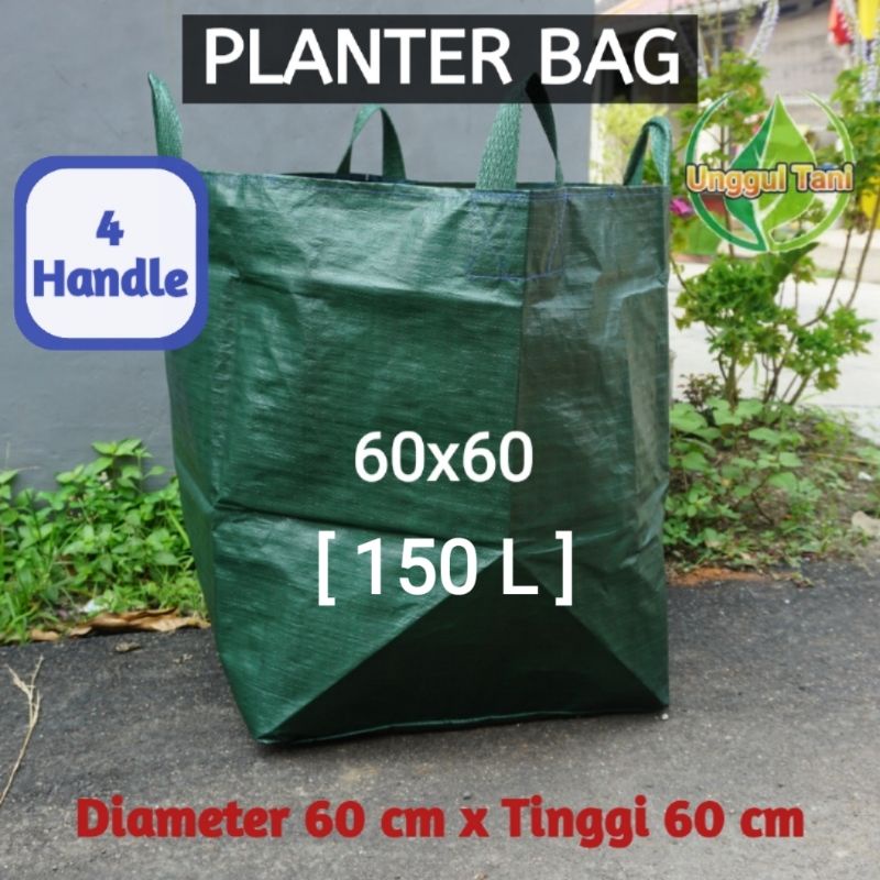 Planter Bag Hijau Big size 60x60 cm Kapasitas 150 L  untuk Tanaman buah Tabulapot