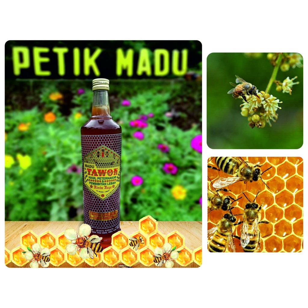 

Madu Asli Murni Bunga Lengkeng 600 ml kemasan botol kaca