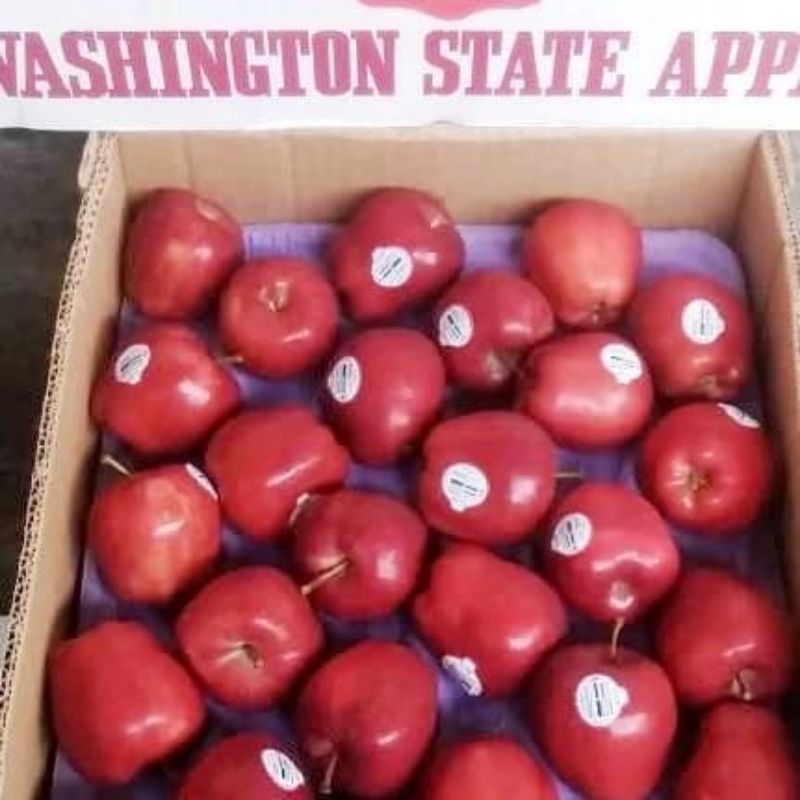 Apel merah usa 1 Dus.