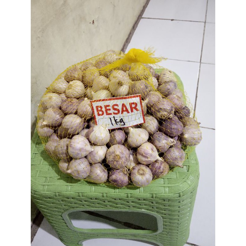 

BAWANG PUTIH TUNGGAL UK . BESAR