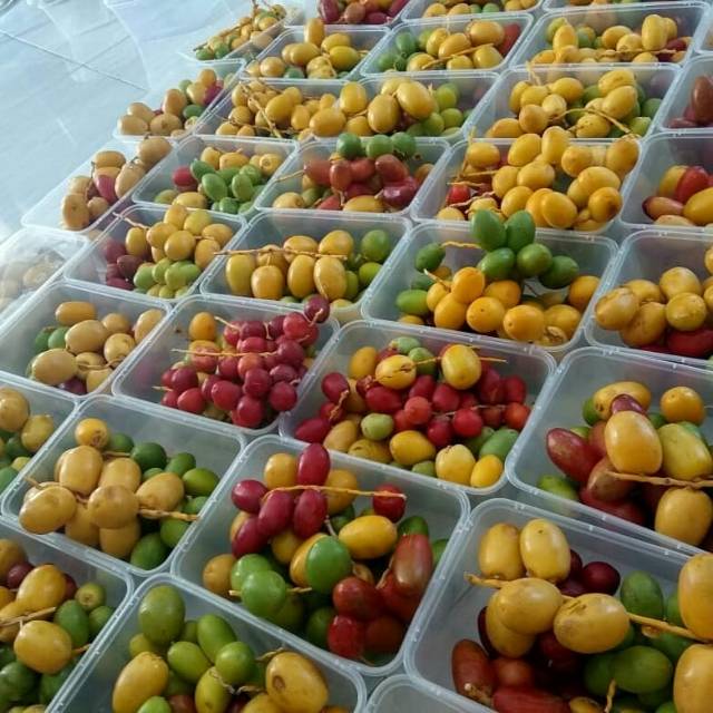 KURMA MUDA PELANGI 500GRAM