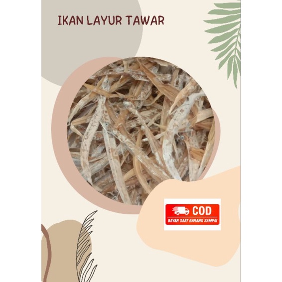 

Ikan layur tawar / 1 kg
