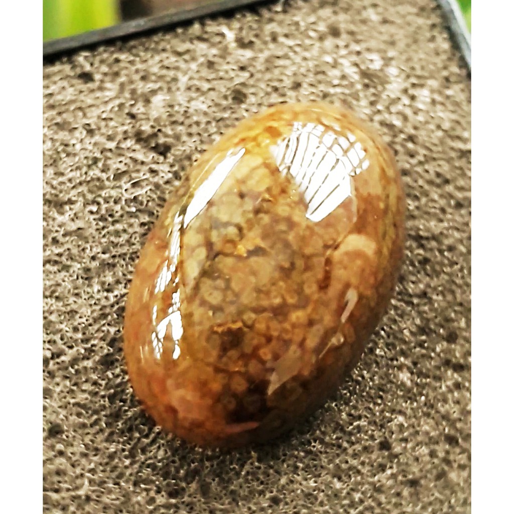 BACAN DOKO batu akik natural bacan doko gulau coklat motif kura size jumbo 23,5mm