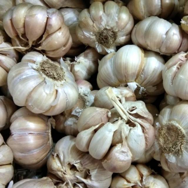 

Bawang Putih Banci 250 gram