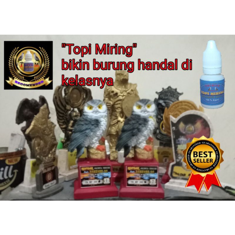 Doping burung trucukan / vitamin / jamu untuk lomba trucuk