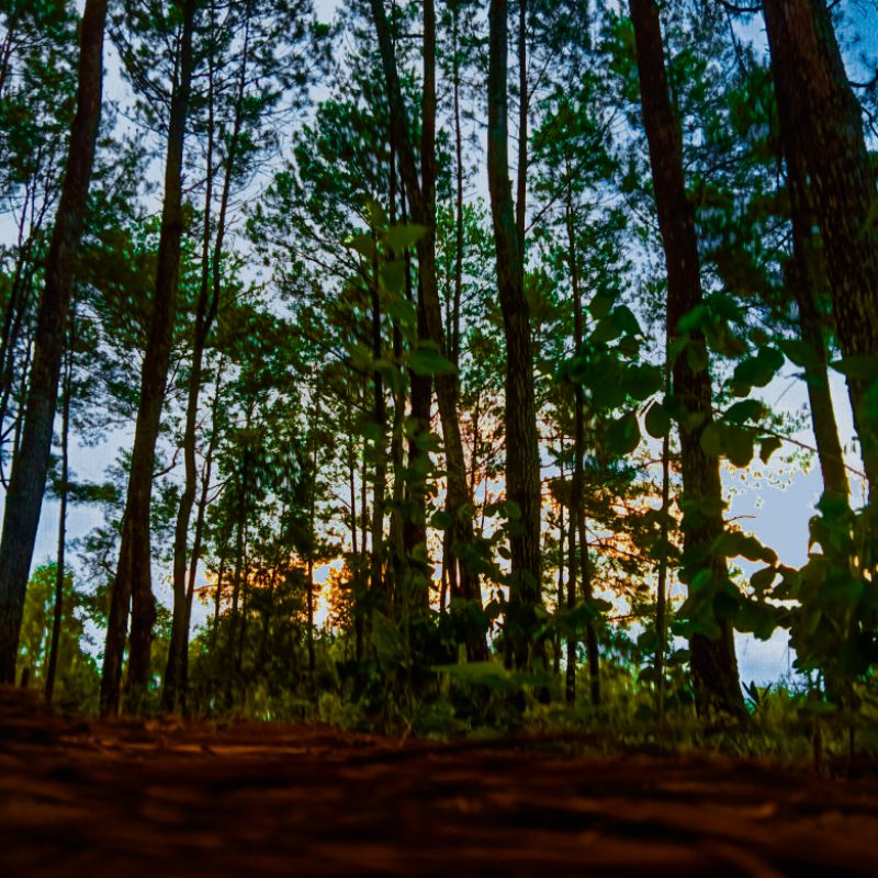 open jasa edit foto/video/logo random