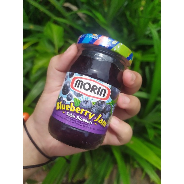 

MORIN SELAI BLUEBERRY 170GR