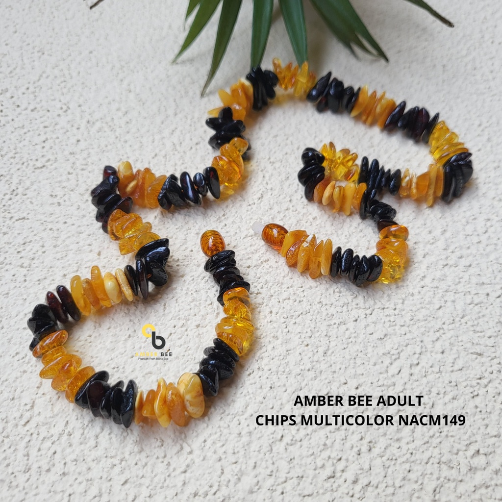 Kalung Amber Dewasa Premium Glossy Chips ANGCM149 By Amber Bee