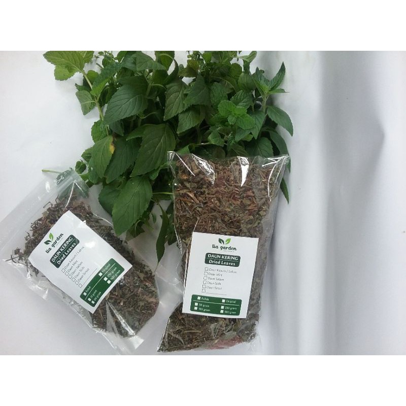 

DAUN MINT KERING ORIGINAL KEMASAN 25 GRAM