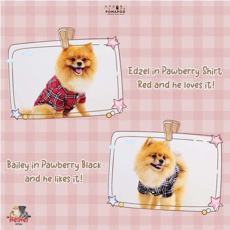 Pomapoo Kemeja Pawberry - Baju Kemeja Kucing Anjing Jantan - Male Dog Cat Shirt