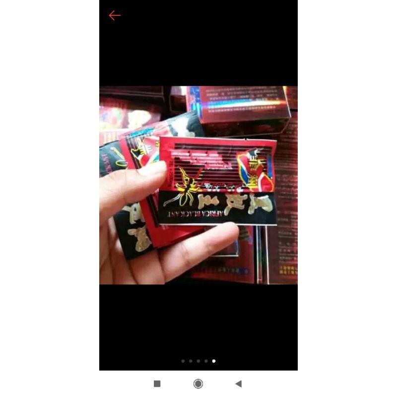 

semut afrika black ant kuat tahan lama di jamin 100% original