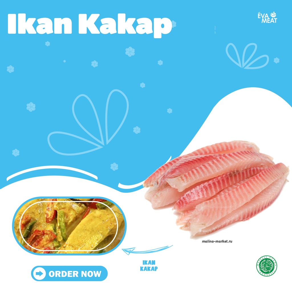

Ikan Kakap
