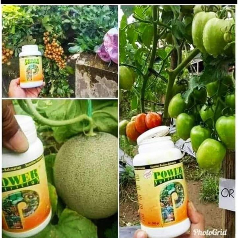 Power Nutrition