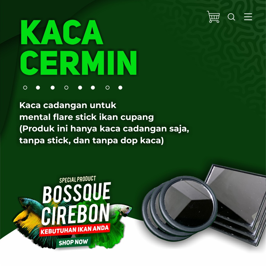 Kaca Cermin Mental Flare Stick Ikan Hias Cupang Ngedok Kaca Cadangan