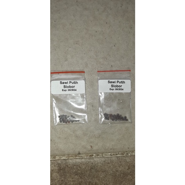 bibit benih hidroponik repack sawi putih slobor