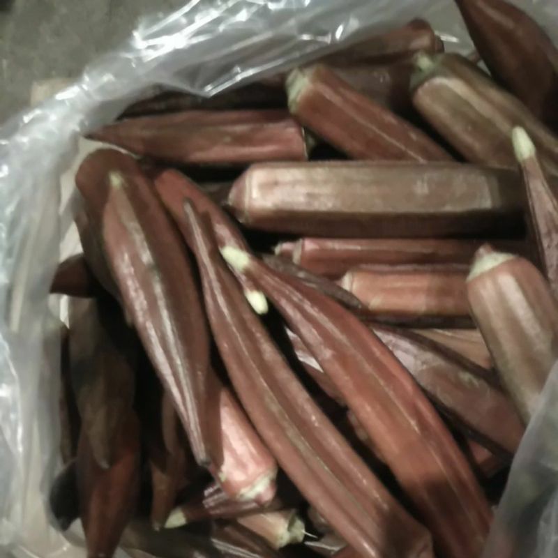 

Sayur Bindi Gumbo Ladys Fingers Okra segar