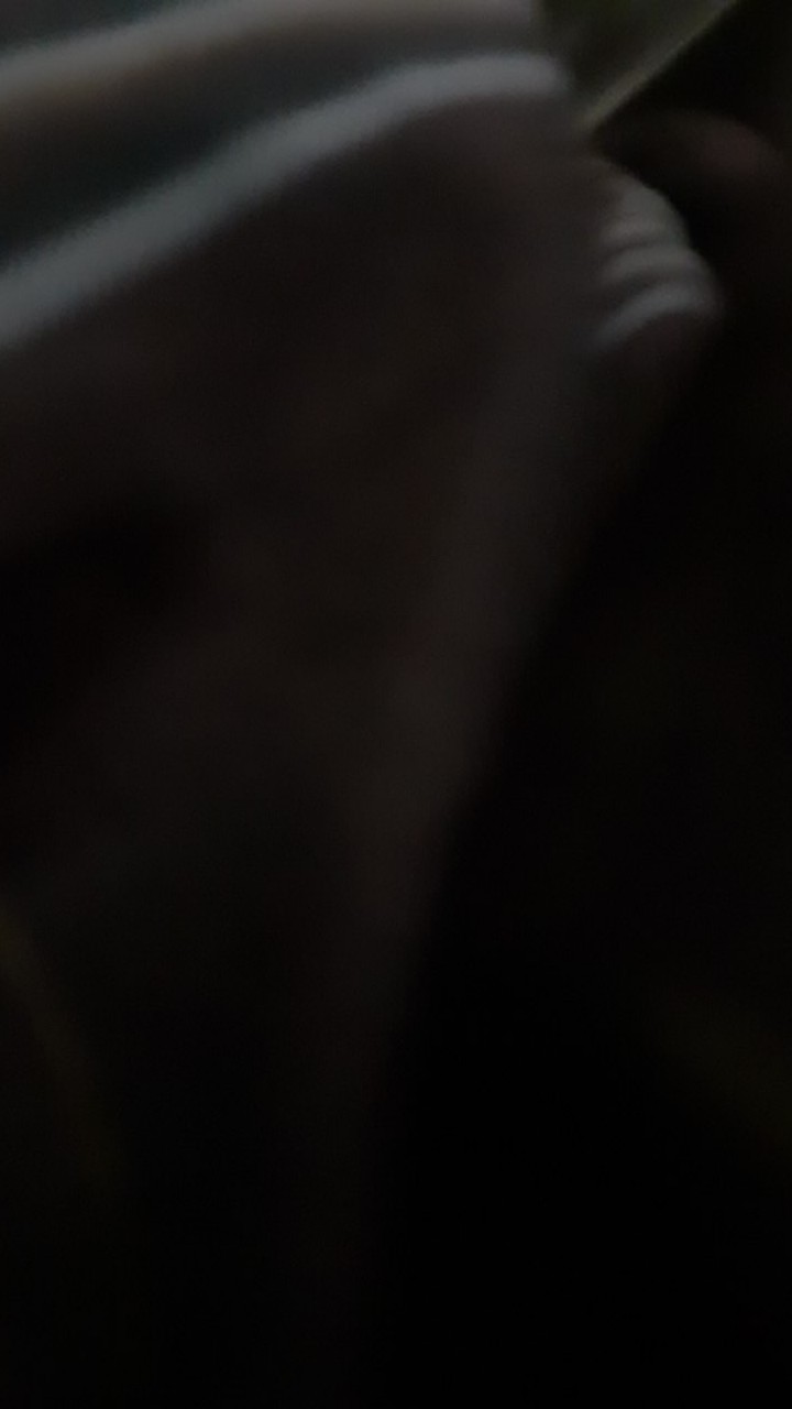 Setelan Batik Piyama Anak Bayi Balita Cewek Cowok Kekinian Bahan Adem Banget  Produksi Sendiri