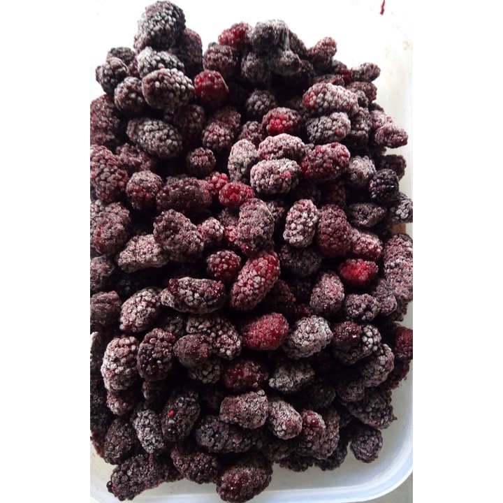 

Murbei Beku / Frozen Kemasan 1Kg