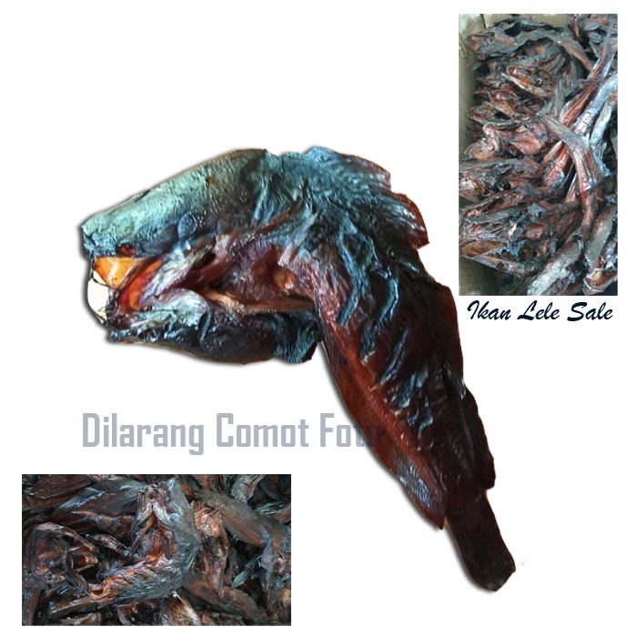 

Ikan sale lele/sale lele medan 500 gram