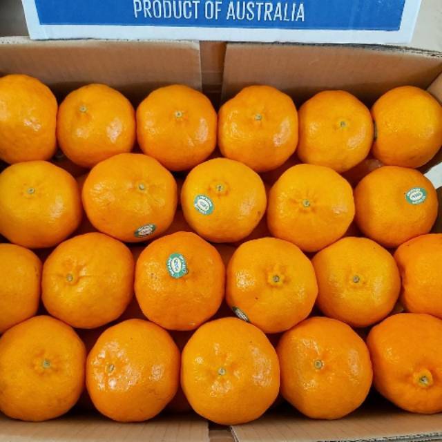 

Jeruk Mandarin 9kg