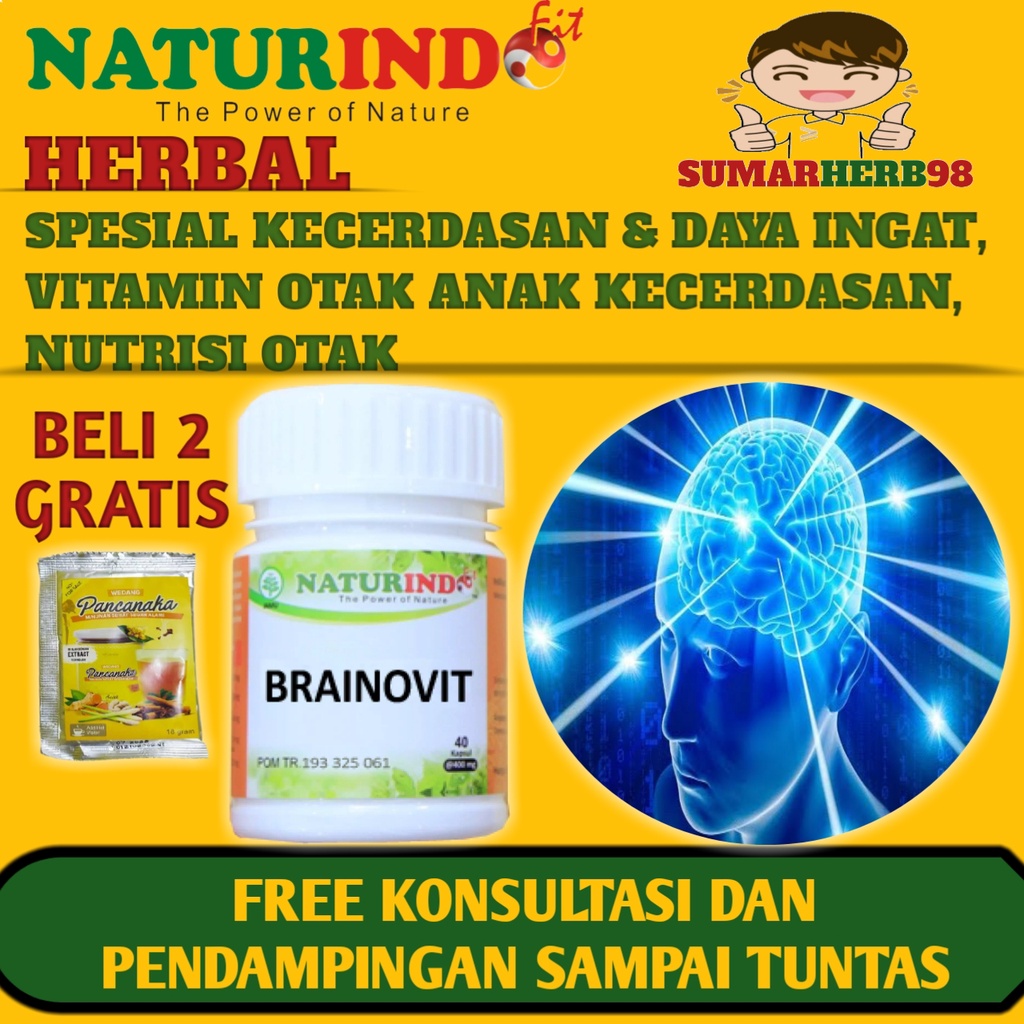 Vitamin Otak Anak Nutrisi Otak Anak Telat Bicara Obat Herbal Meningkatkan Daya Ingat Otak Herbal Sup