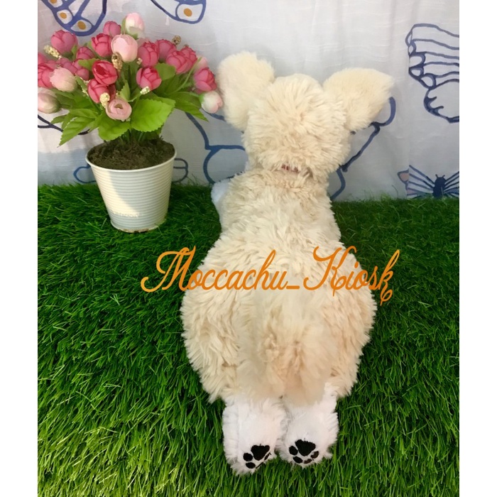 Promo Boneka Anjing Chihuahua Sunlemon Hiza Wanko Chihuahua Cream Terbaru