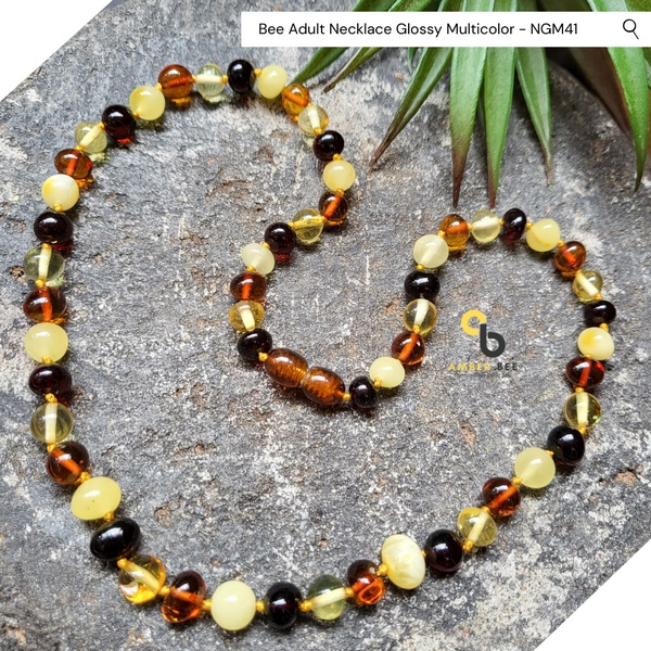 Kalung Amber Dewasa Premium Glossy Multicolor 46-57cm NGM41