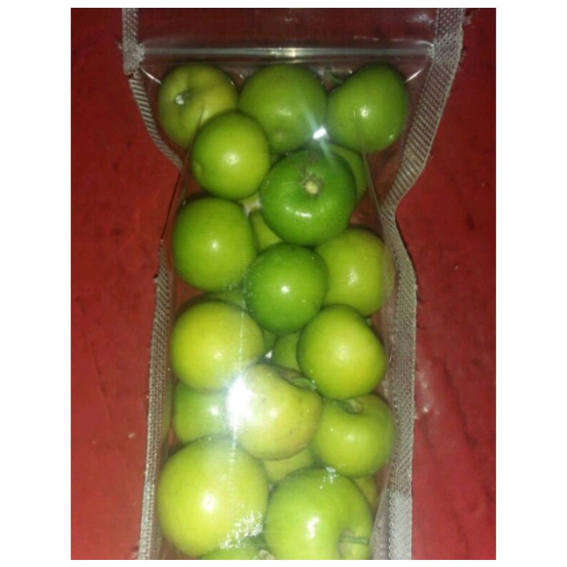 BUAH BIDARA ARAB isi 20 Buah SEGAR / Untuk Kesehatan / Obat Herbal