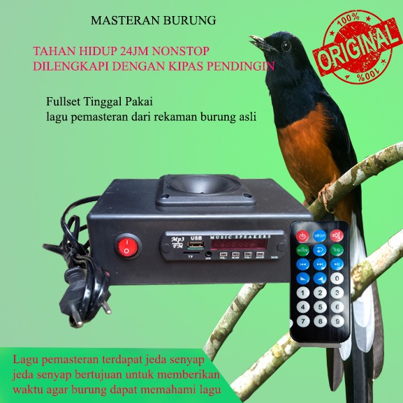 Masteran Burung | Masteran Musik Mp3 | KINGMASTER (kualitas Premium, dilengkapi kipas pendingin)