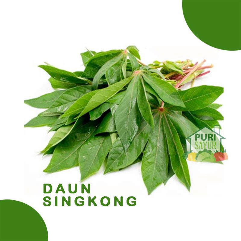 

DAUN SINGKONG /ikat