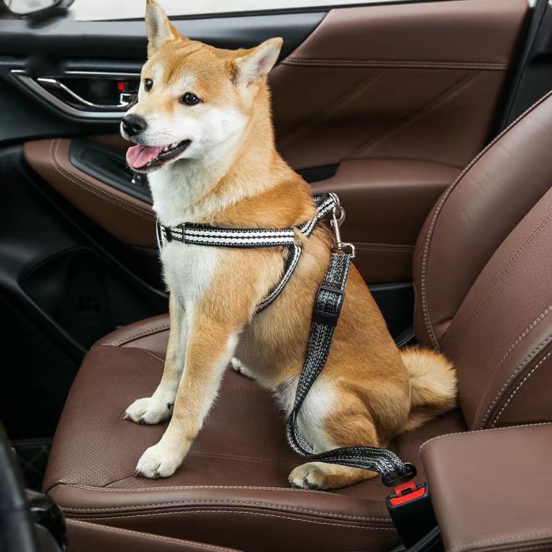 TALI TUNTUN ANJING UTK MOBIL sabuk pengaman car seat belt leash di mobil bron