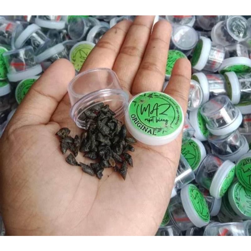 

RESELLER MPOT BIANG MAZ 12 PCS